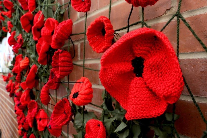 Other image for Poppy Appeal’s colourful kickstart